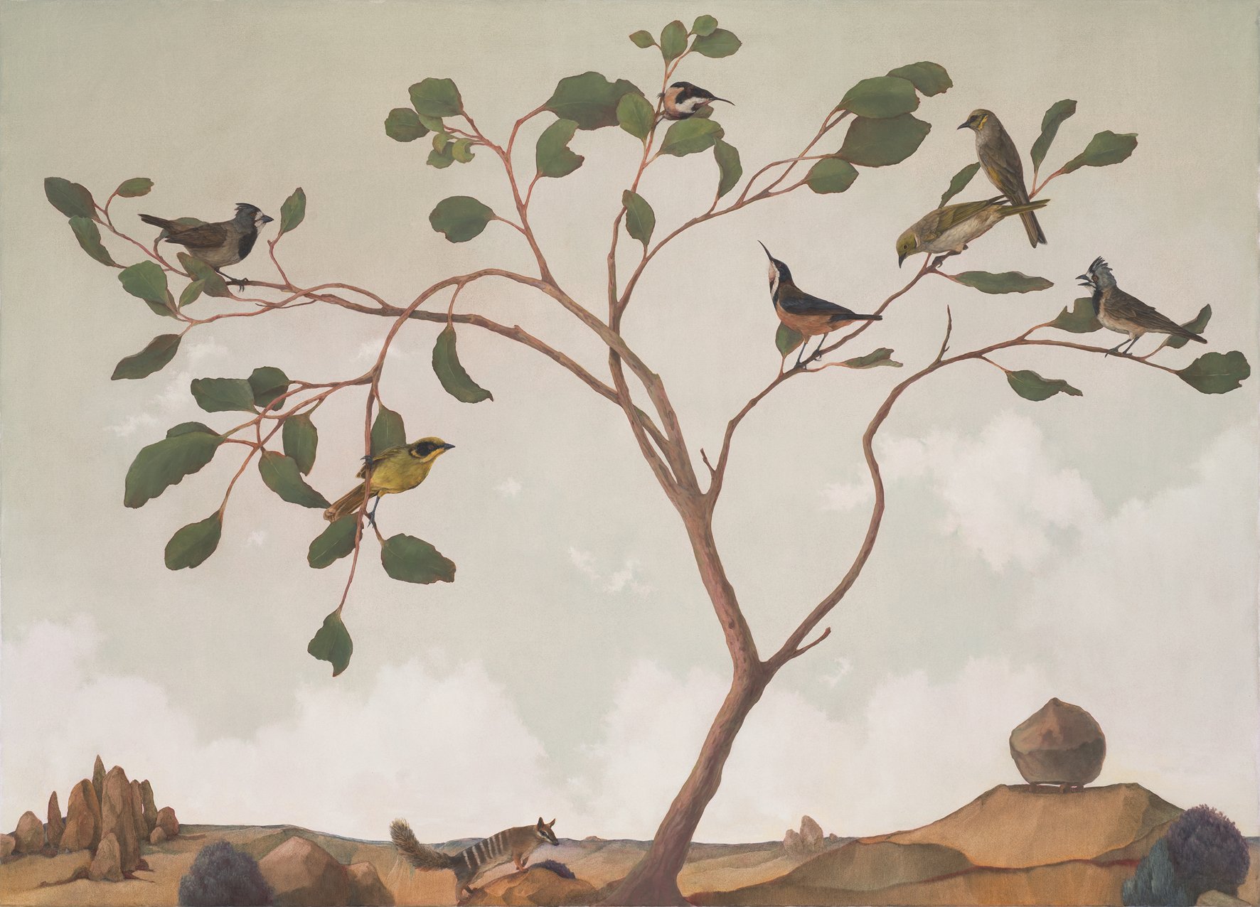 N Dickson web Passing time with Blandowski-assorted honeyeaters in sweet chorus copy.jpg