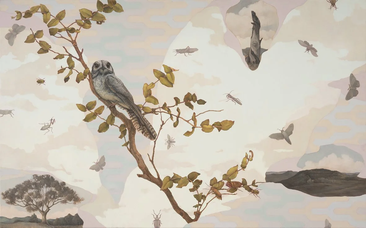 Tales of the Owlet-nightjar copy.jpg