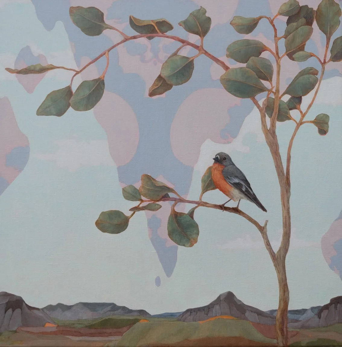 woodland resident flame robin copy.jpg