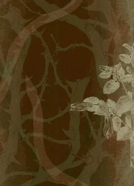 The Colonialists Wallpaper Naples Yellow on Chocolate sample copy.jpg