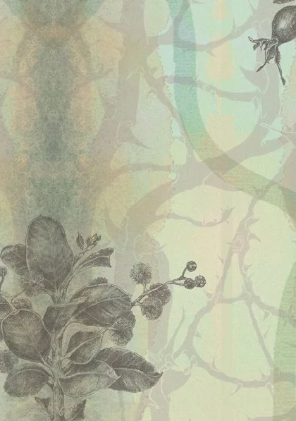 The Colonialists Wallpaper soft grey on olive brown sample copy.jpg