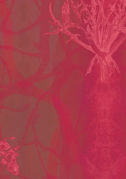 The Colonialists Wallpaper Vermillion on olive sample copy.jpg