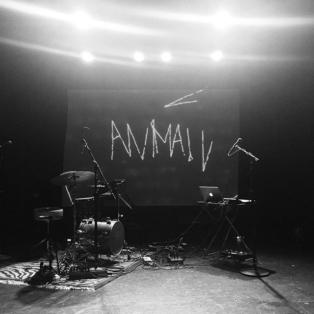 Stage set for @anima.worldwide last night