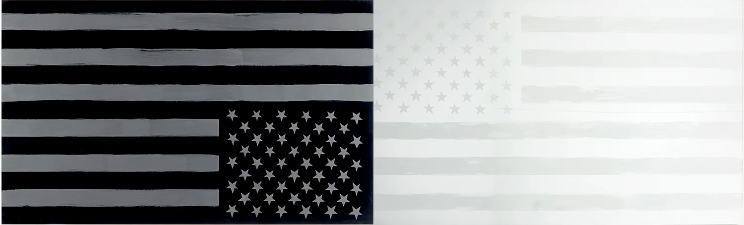 Nimai Kesten, Monochromatic America , 2015