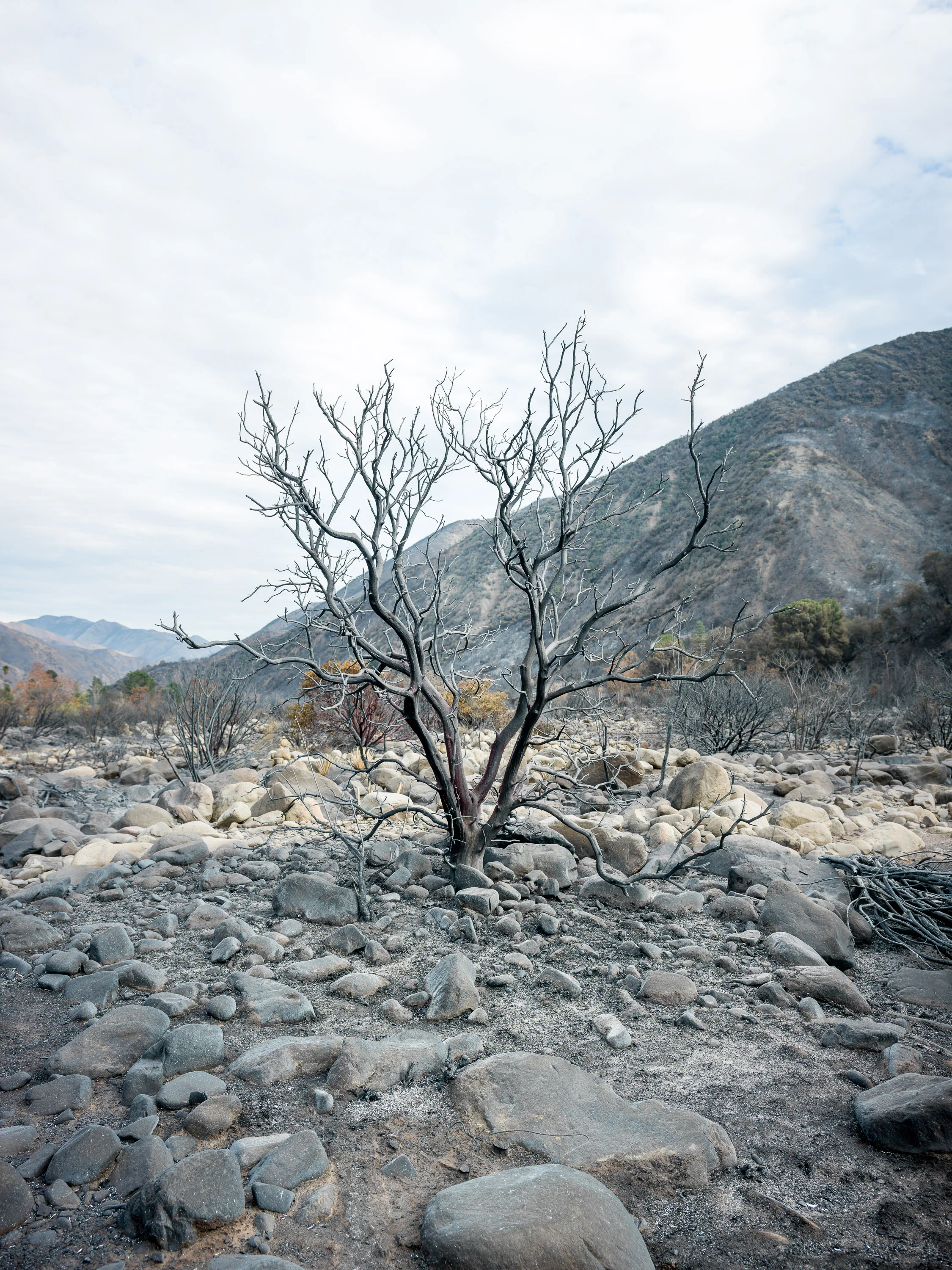 Riverbed.jpg