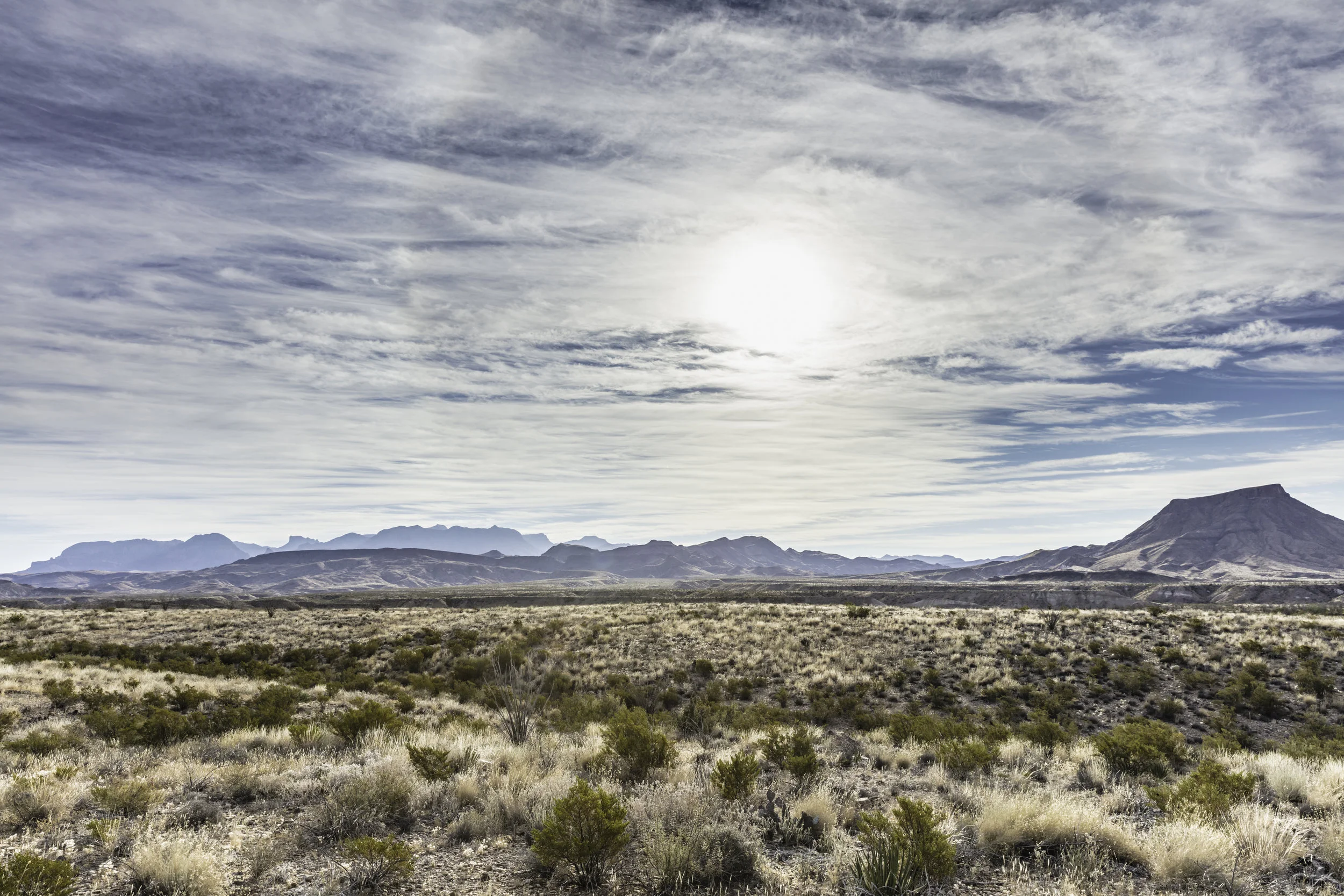 8G5A6372_squarespace.jpg