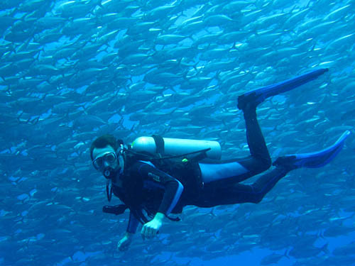 Photo: Nick Hill/Project Seahorse