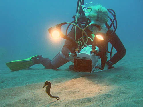 Project Seahorse