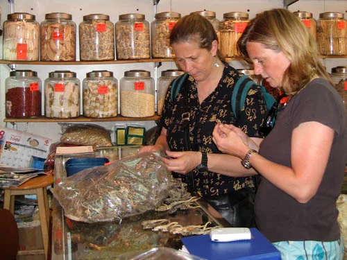 Amanda Vincent/Project Seahorse