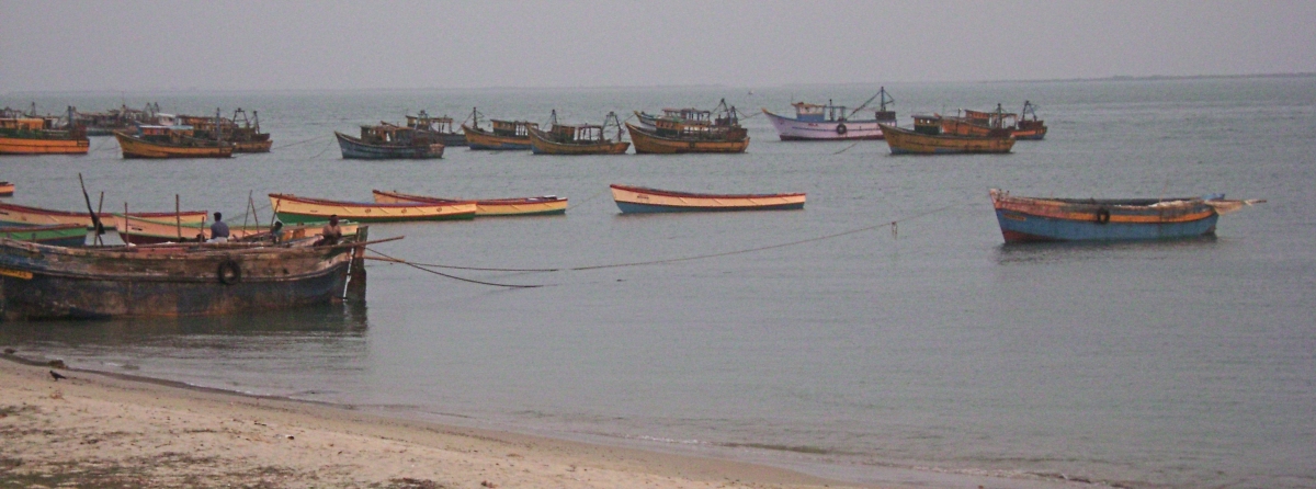 Fishing boats on the Gulf of Mannar. Photo via Marcus334/Wikimedia Commons 