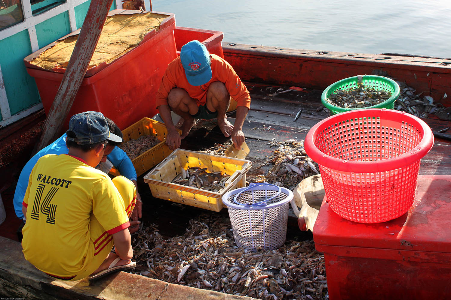 Trawl boats fished for just about anything – small fish, octopus, squid… A. Stocks/Project Seahorse