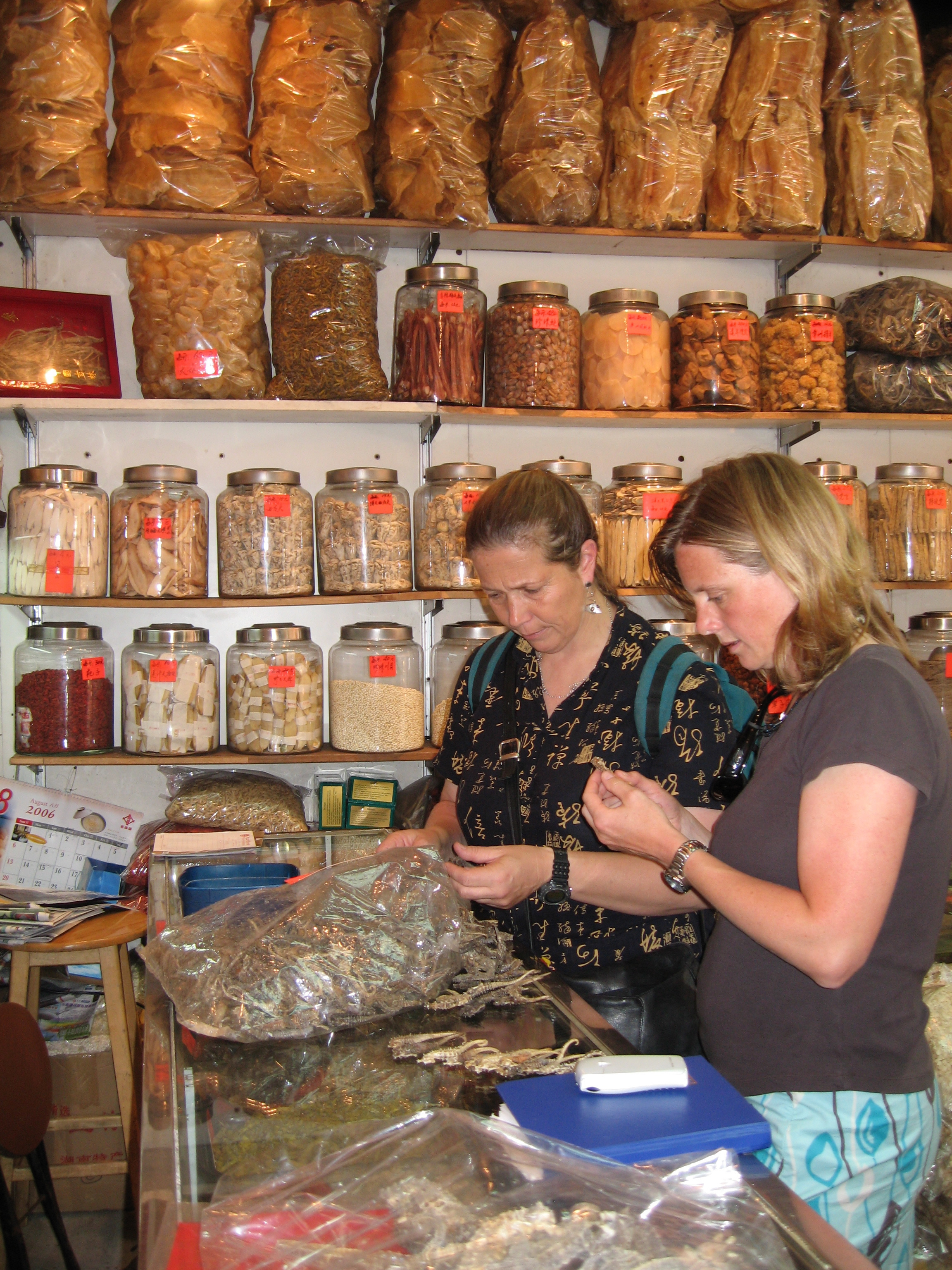 Dr. Vincent and Dr. Koldewey examining dried seahorse specimens. Amanda Vincent/Project Seahorse