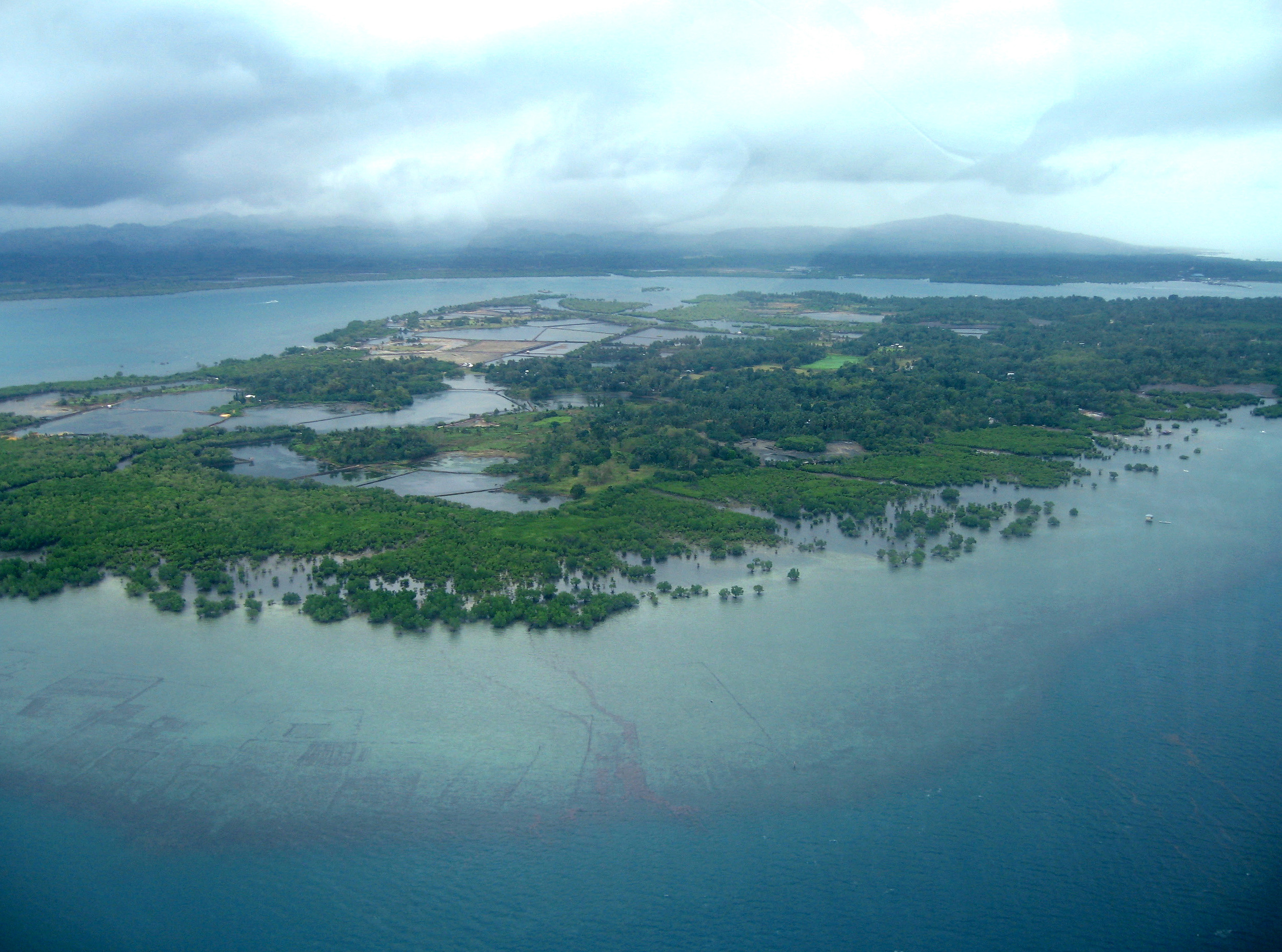 Jandayan Island is part of Danajon Bank, a rare and important double-barrier reef in the Philippines. Project Seahorse
