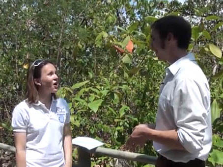 An interview with Phuket Today. Lindsay Aylesworth/Project Seahorse