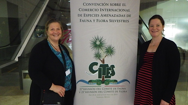 Amanda Vincent (left) and Sarah Foster (right) at the 27th CITES Animals Committee Meeting in Veracruz, Mexico.
