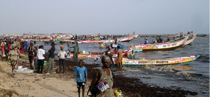 Fisheries in Senegal. Photo by Andres Cisneros-Montemayor/Project Seahorse.