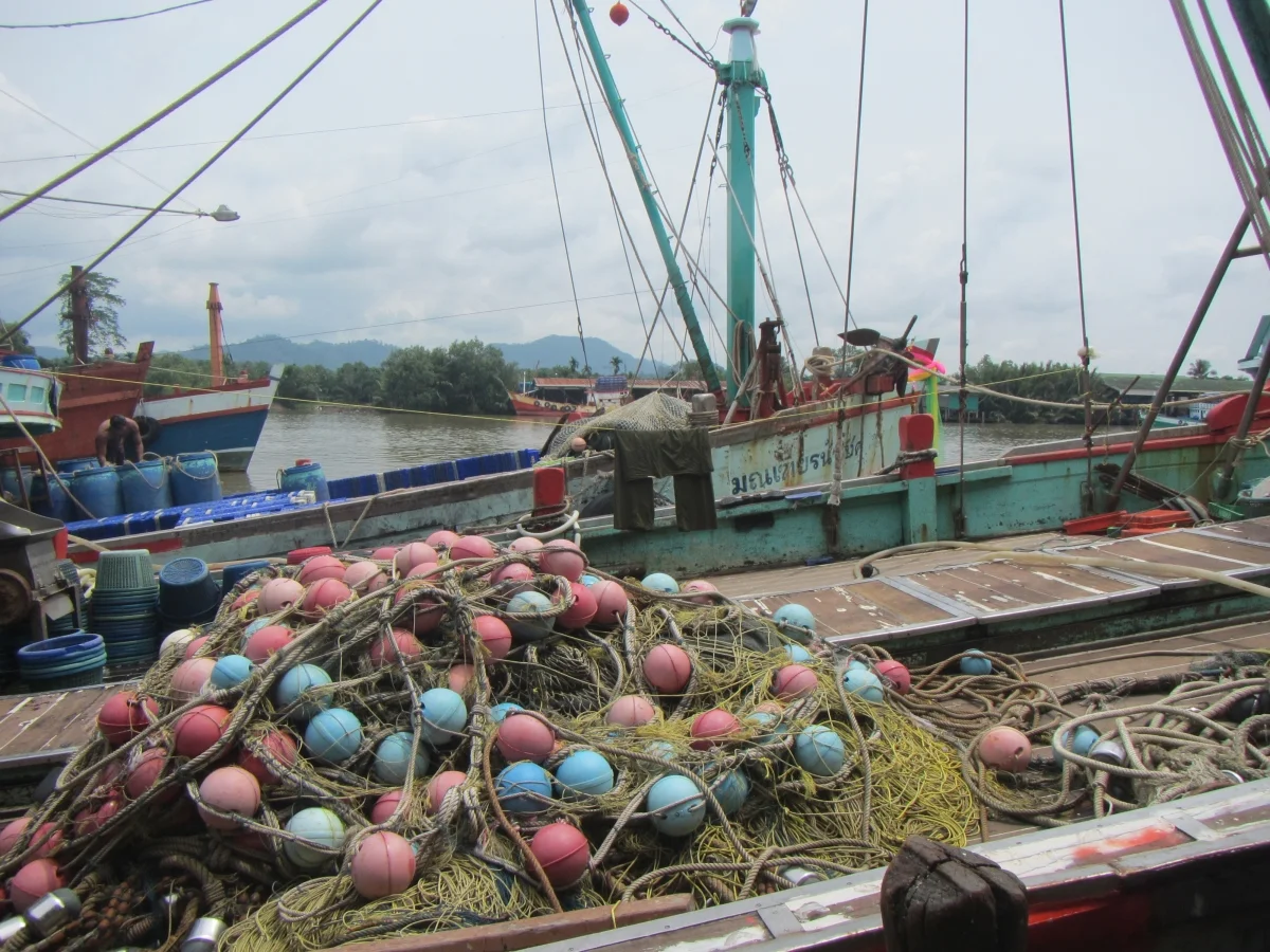 Fisheries in Thailand. Photo by Lindsay Aylesworth/Project Seahorse.