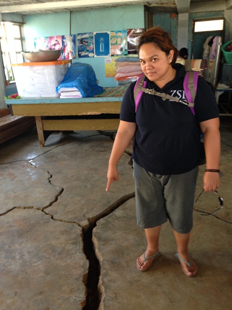Cracks caused by the October 2013 earthquakes. Photo: ZSL