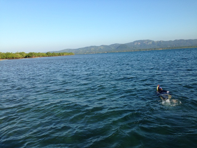 Snorkeling over cracks in sea floor. Photo: ZSL