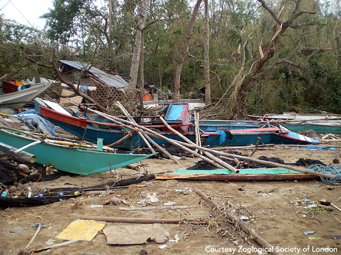 Fishing boats destroyed by Typhoon Haiyan (a.k.a. Yolanda). Panay, Philippines. Photo courtesy of ZSL