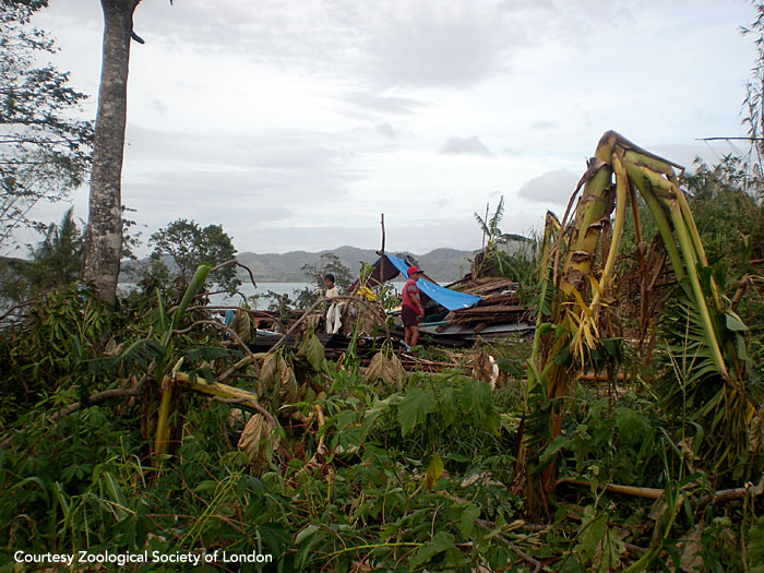 A family stands outside the tent they've set up amid the rubble of their home. Panay, Philippines. Photo courtesy of ZSL