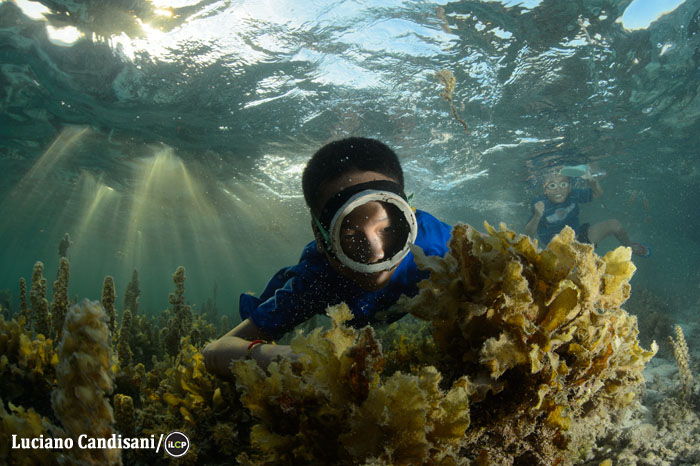 Wearing a homemade mask, a boy searches for gastropod eggs.