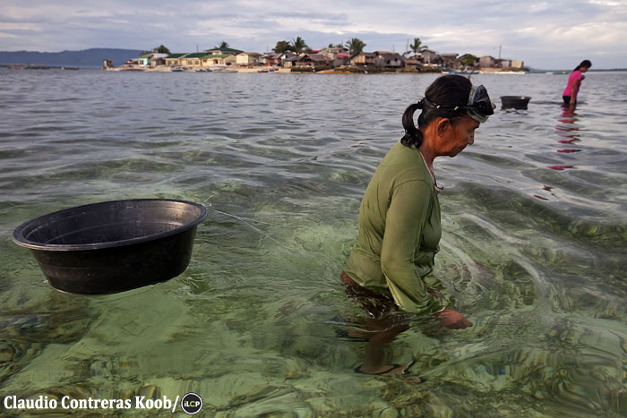 Women gleaning for shells and gastropod eggs at low tide.