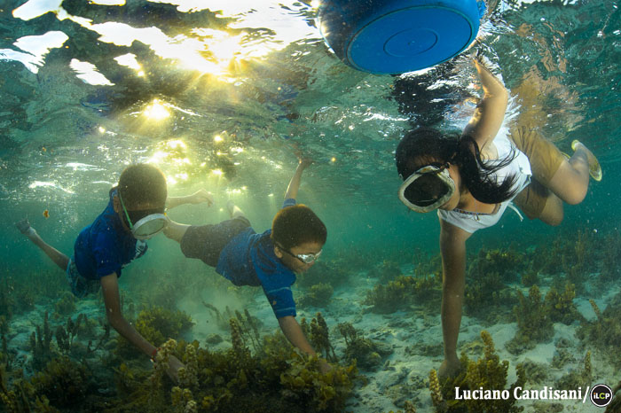Children diving for gastropod eggs at low tide.