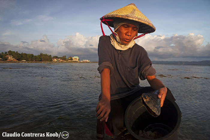 A woman gleans for shellfish