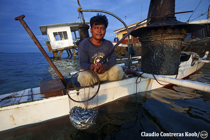 A fisher shows his catch. Dwindling fish stocks means fishers must catch smaller and smaller fish.