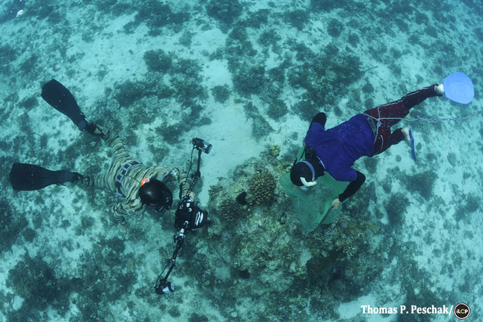 Photographer Luciano Candisani documents an aquarium fisher wearing homemade wooden fins.