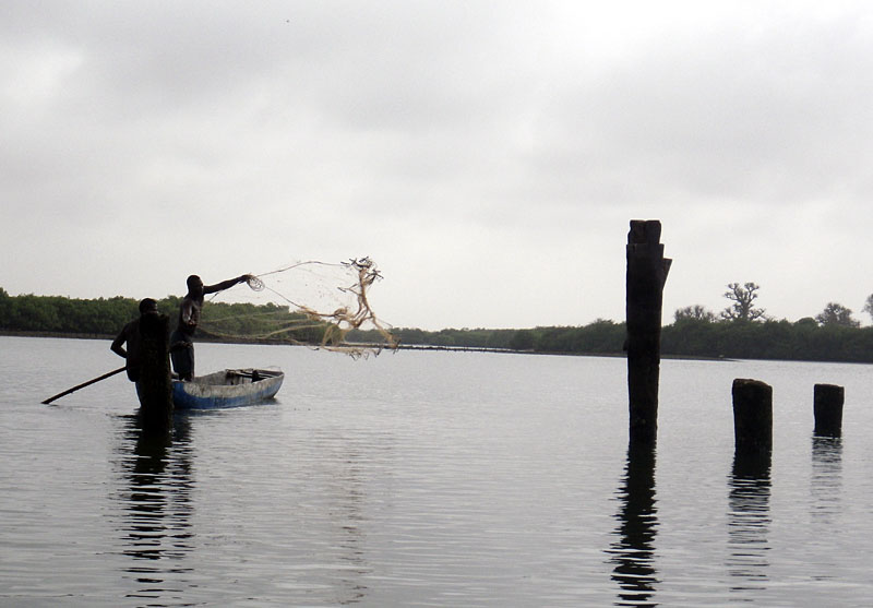 Photo: Kate West/Project Seahorse