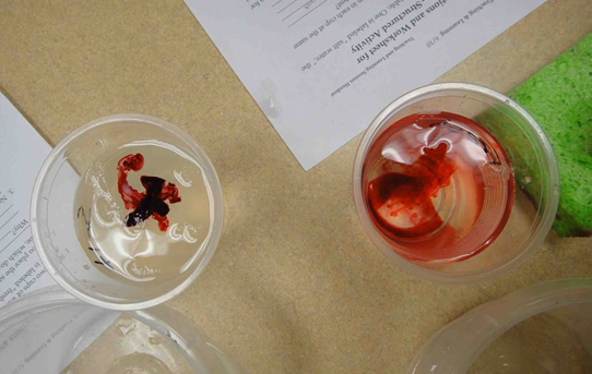 The mysterious red dye that sits at the surface in one cup and spread throughout in the other