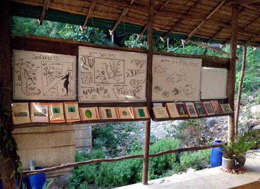 Photo by Marine Conservation Cambodia