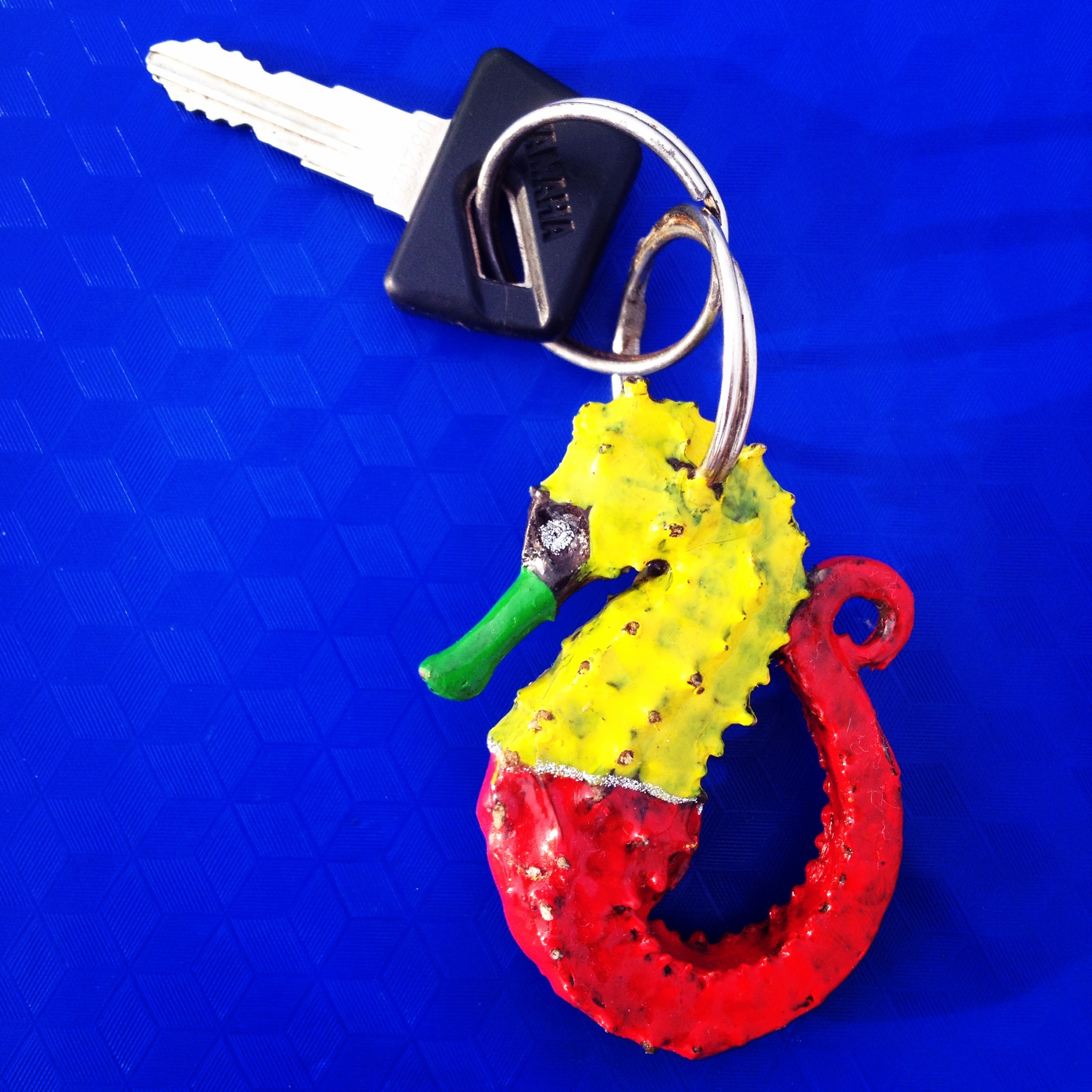 Occasionally I’d see a seahorse being used for something other than tonic – here’s a seahorse keychain made by a woman I often saw at one of the big ports on the island. A. Stocks/Project Seahorse