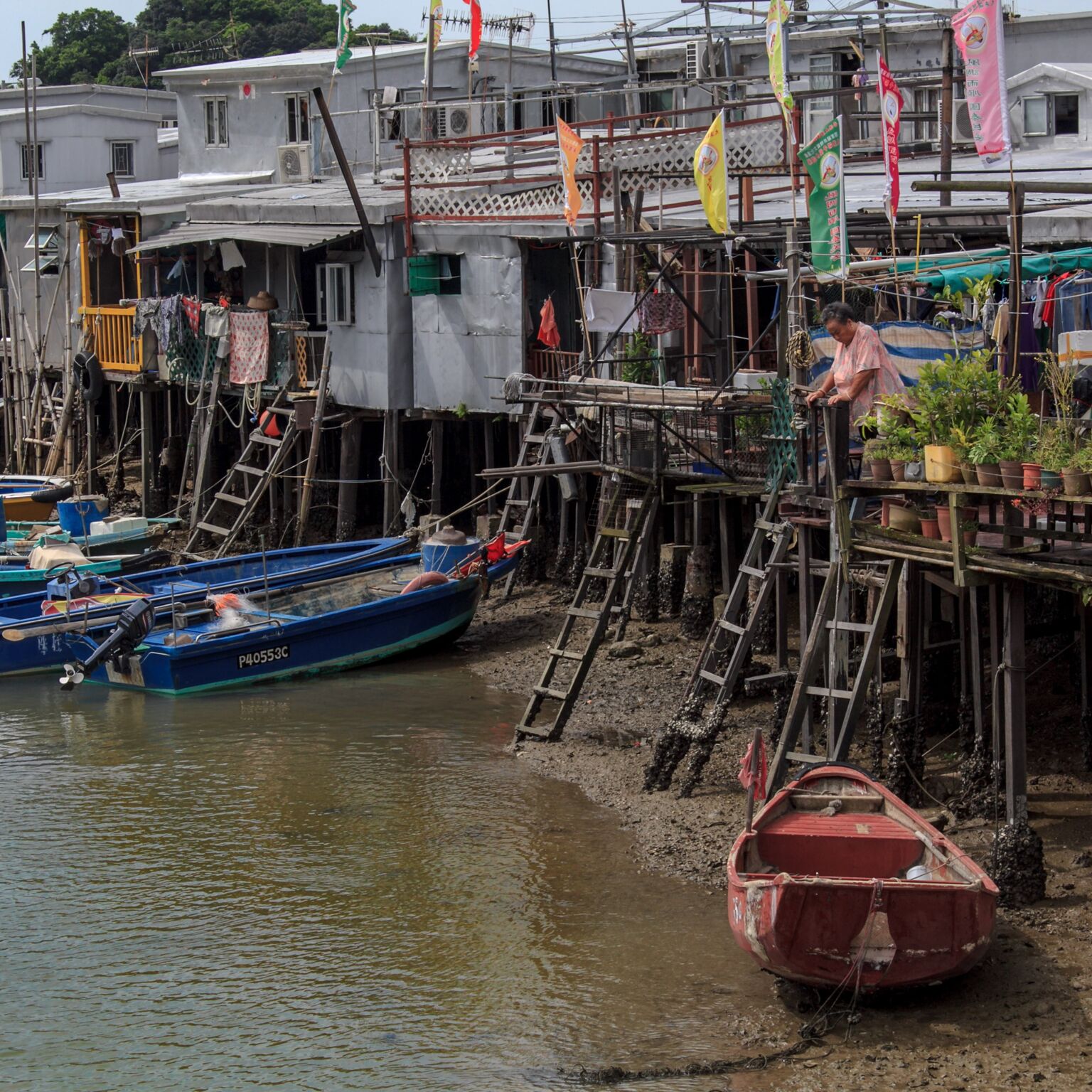 Fishing village at Tai-O, Hong Kong. These houses are called “Pang uk,” or stilt houses in English. Pang uk were developed by the fishing people (Tanka) in Hong Kong in the 18th century. In recent decades, Tanka people moved to the land and fewer pang uk are seen in Hong Kong. Tai-O has the highest number of preserved pang uk. TC Kuo/Project Seahorse 