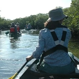 BNP_mangrove_paddle.jpg