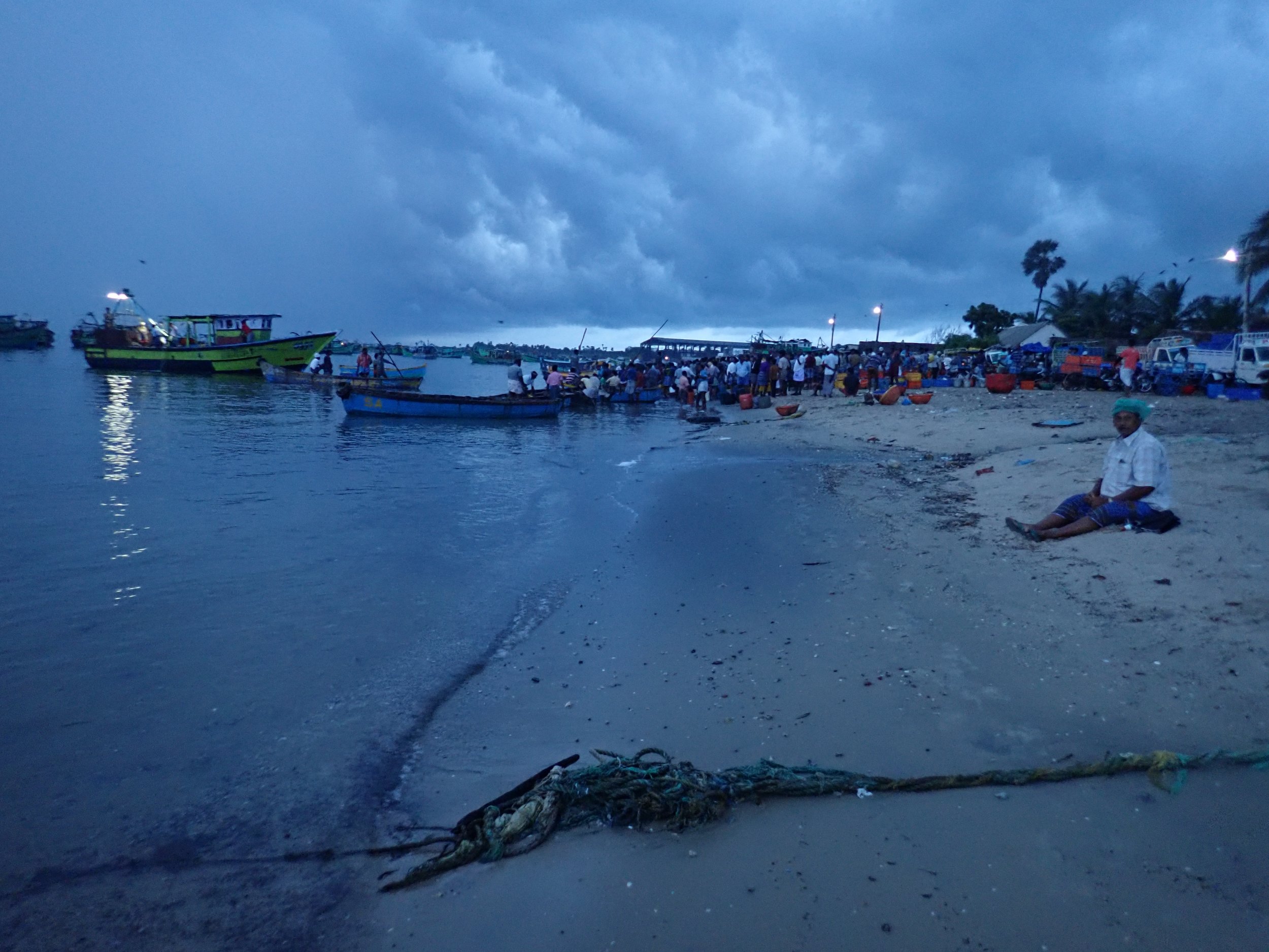 Trawl landing site at dawn, Mandapam North, India. Photo by Amanda Vincent/Project Seahorse.