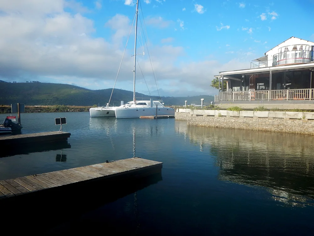 This is the main seahorse survey area in the marina. Photo by David Harasti.