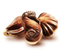 seahorsechocolates.fw.png