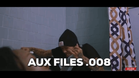AUX Files .008