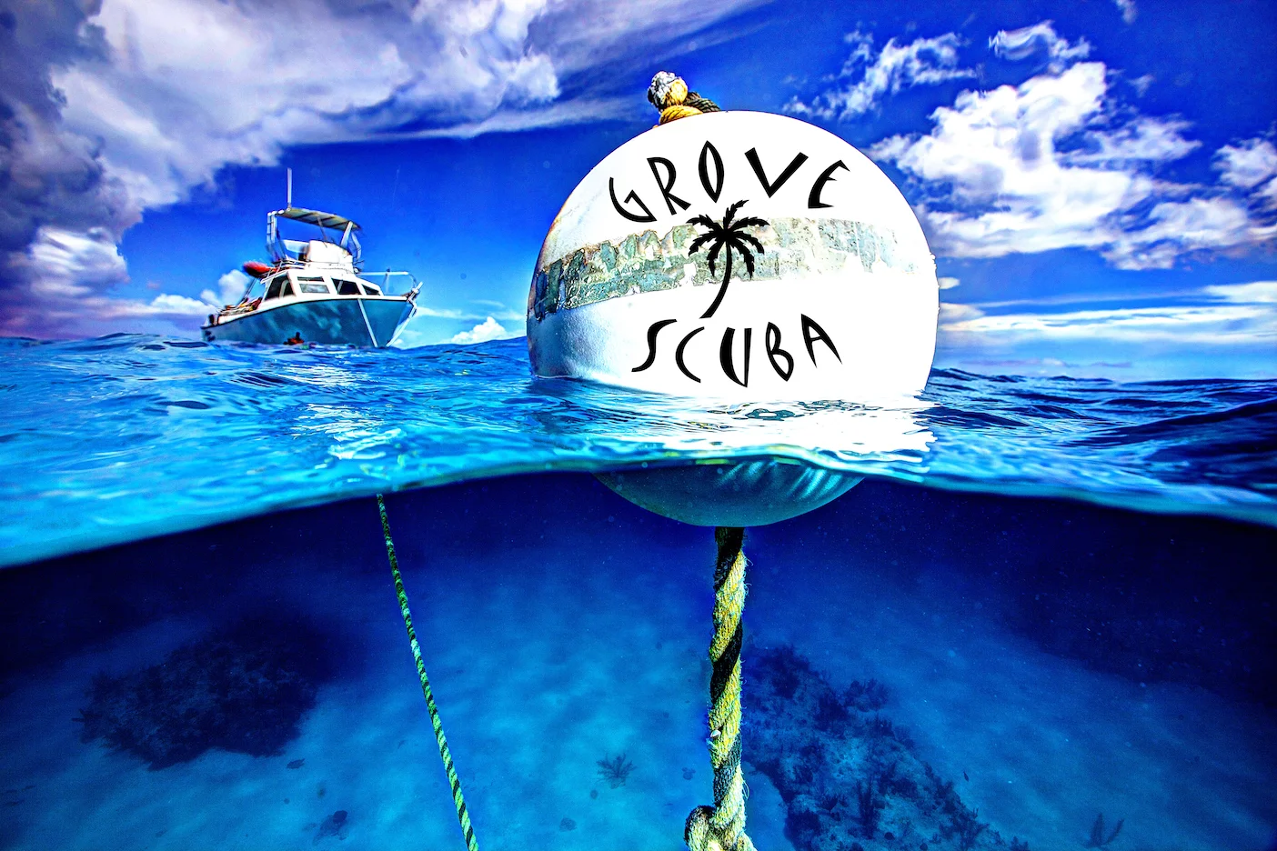 grove.jpg