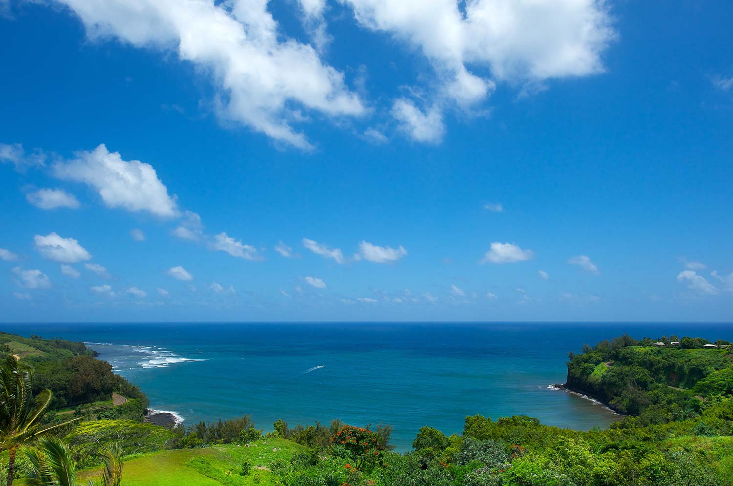 5_EV-001_PACIFIC OCEAN VIEW_web.jpg