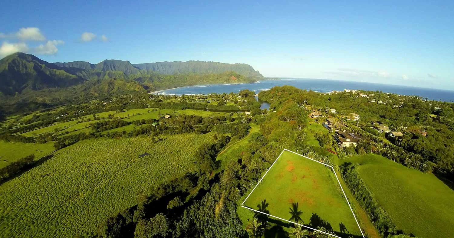 Outline Rike1_web.jpg