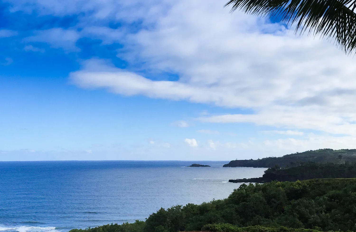 Anini IMG_2169_web.jpg
