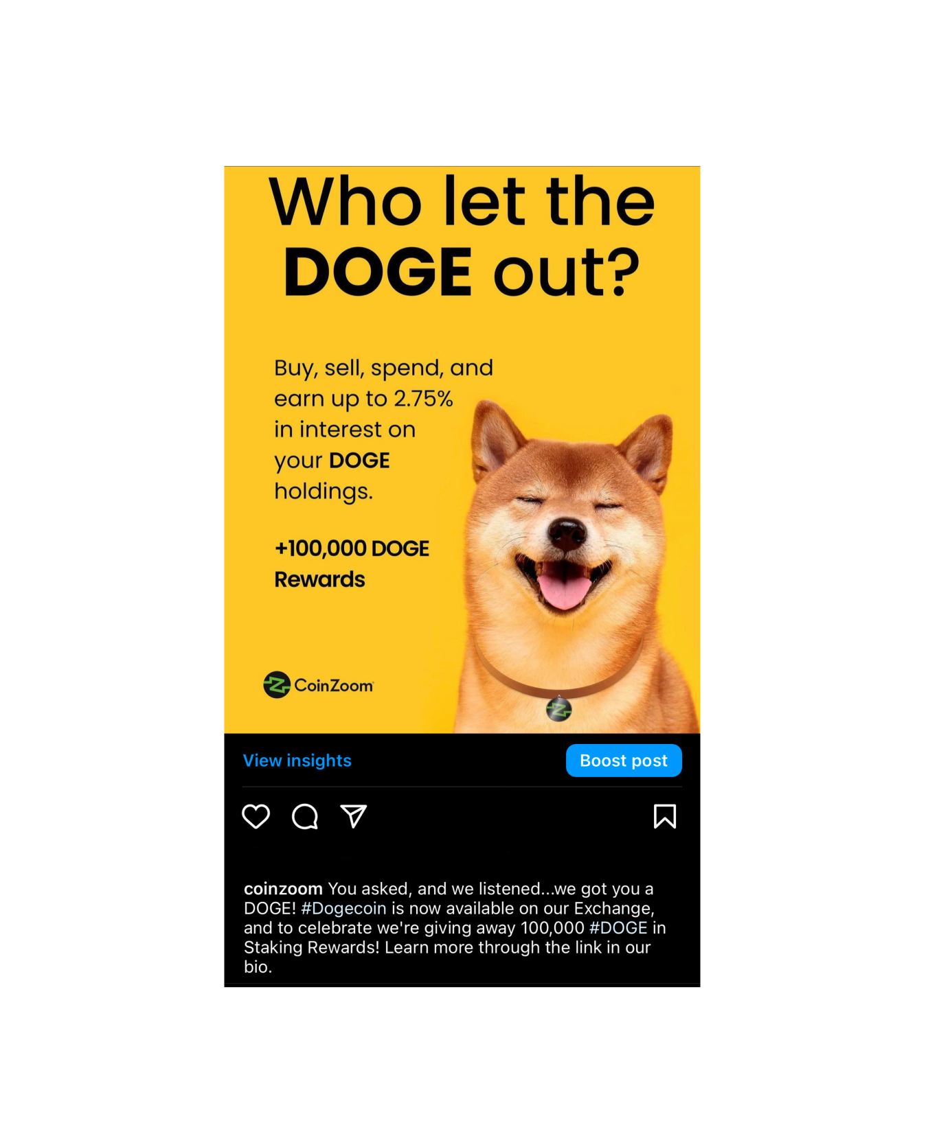 IG3.png