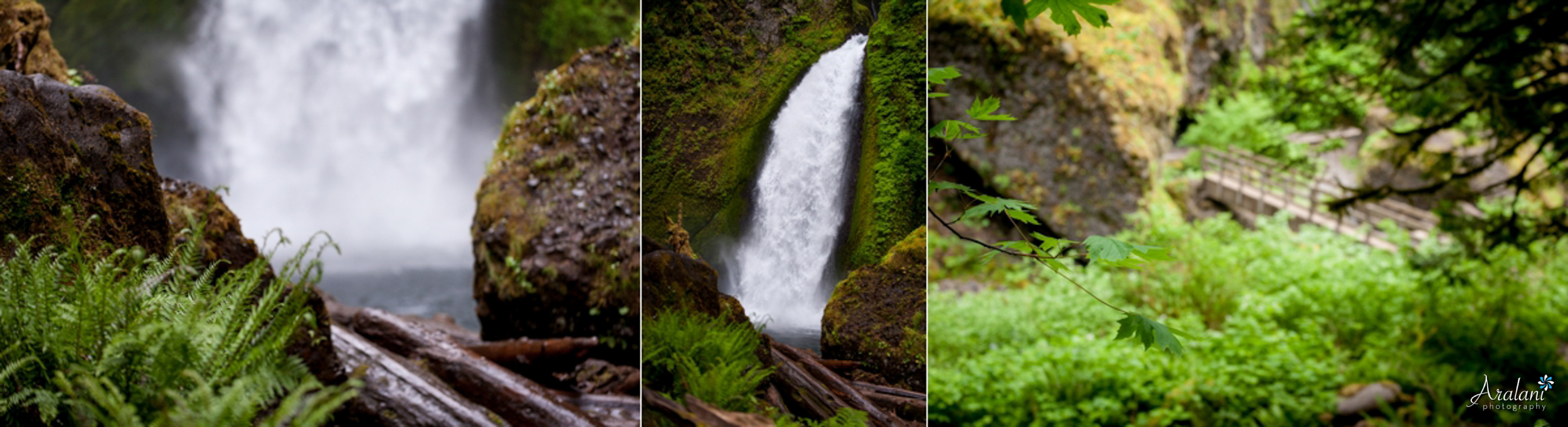 Wahclella_Falls_Elopement0004.jpg