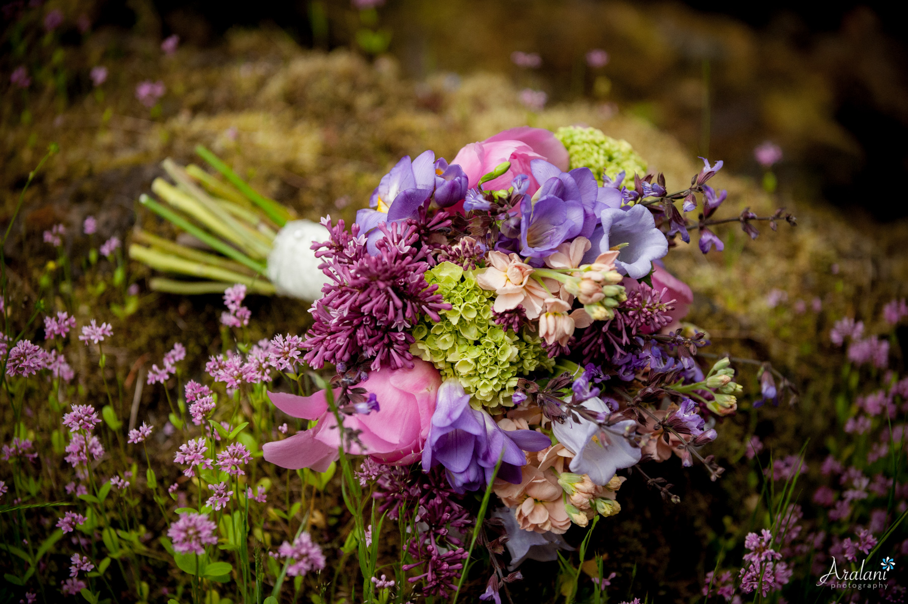 Wahclella_Falls_Elopement0006.jpg