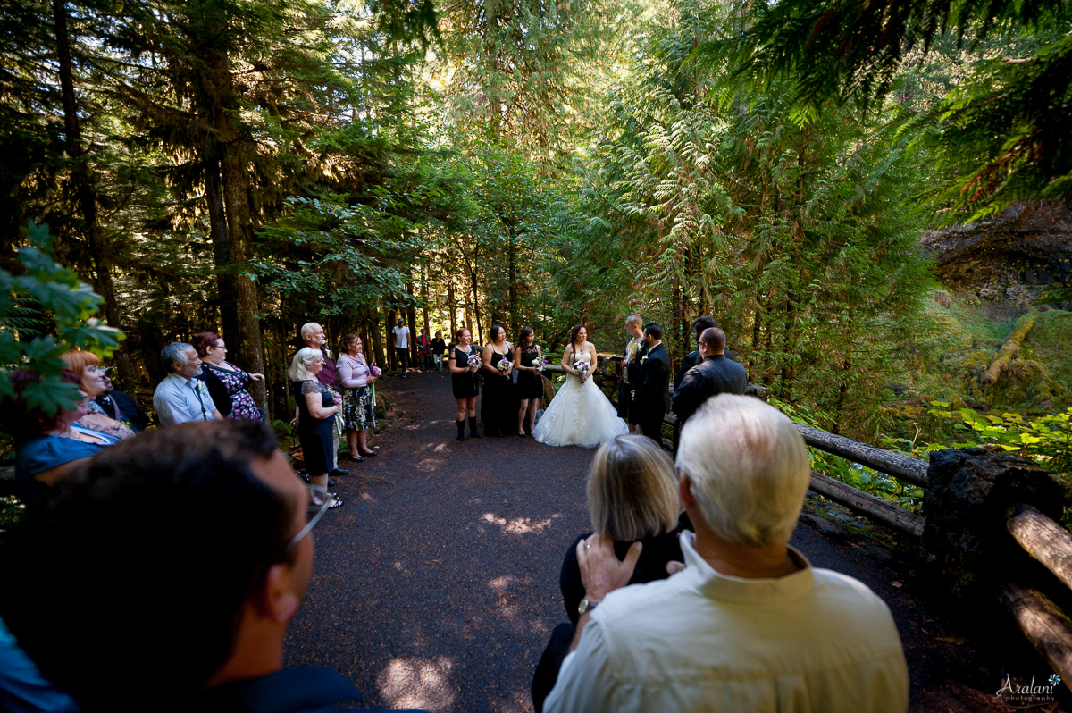 Sahalie_Falls_Waterfall_Wedding0005.jpg