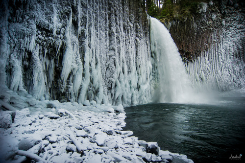 Ara+Roselani+-+Aralani+Photography+-+Abiqua+Falls,+Oregon.jpg